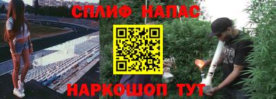кокс Донской