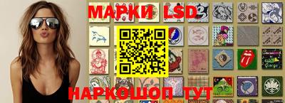 кокс Донской