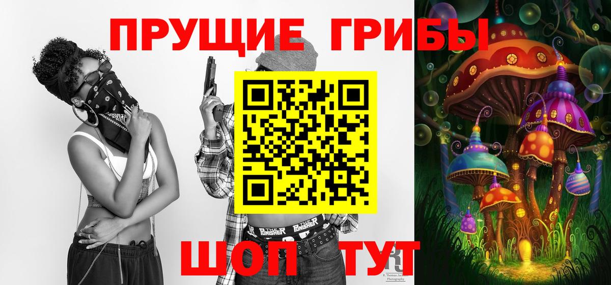 Моздок  Галлюциногенные грибы Psilocybe  Псилоцибиновые грибы GOLDEN TEACHER  Вход с VPN 